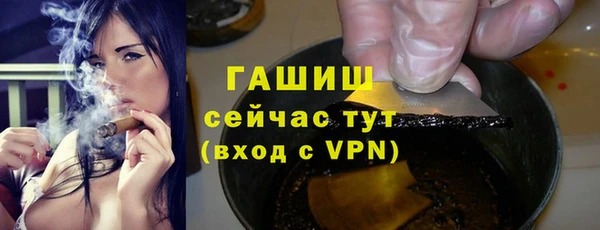 apvp Алзамай