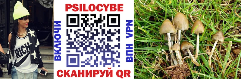 купить закладку  Рославль  Псилоцибиновые грибы мухоморы 